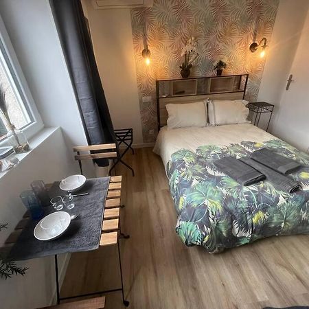 Verdi Studio Cosy Au Calme Parking Gratuit Chasse-sur-Rhône Eksteriør bilde