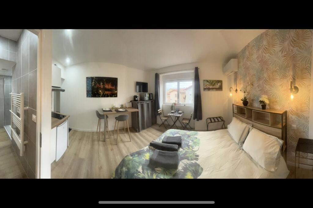 Verdi Studio Cosy Au Calme Parking Gratuit Chasse-sur-Rhône Eksteriør bilde
